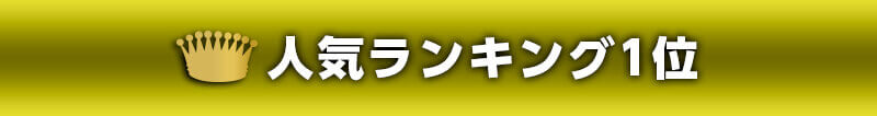 人気ランキング1位