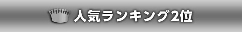 人気ランキング2位